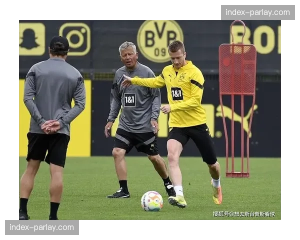 告别时刻：罗伊斯宣布将于赛季末离开多特蒙德