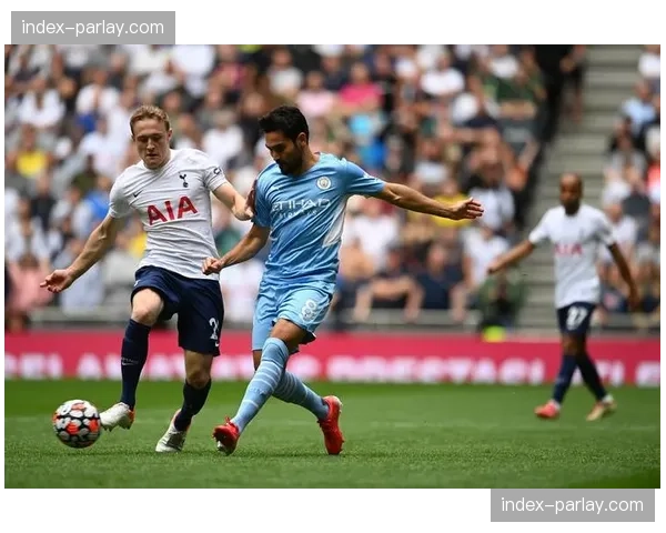 马德里举办欧冠主题球迷节，预计将吸引超过十万名游客